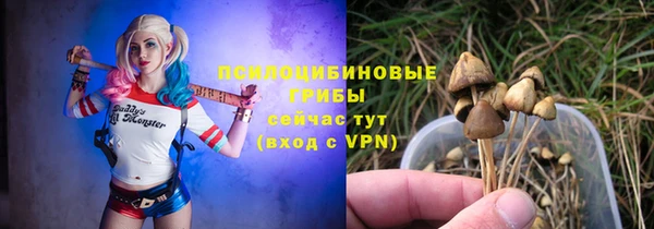 ALPHA PVP Дмитриев