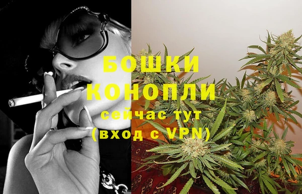 ECSTASY Дмитров